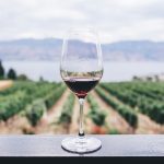 Comment choisir un vin Priorat selon vos goûts et repas ?